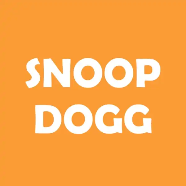 Snoop Dog - Rap US 90