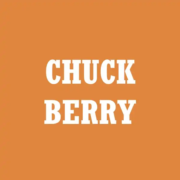 Chuck Berry - Rock 'n' Roll