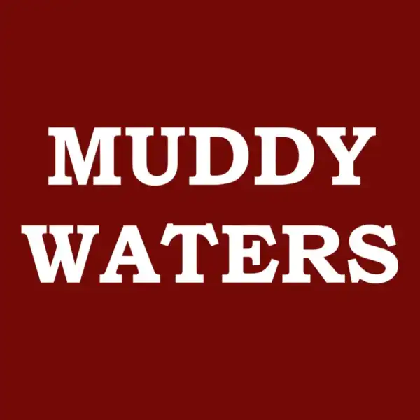 Muddy Waters - Blues