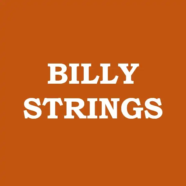 Billy Strings - Bluegrass